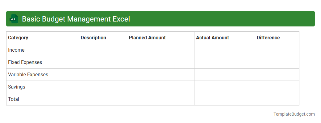 Basic Budget Management Excel