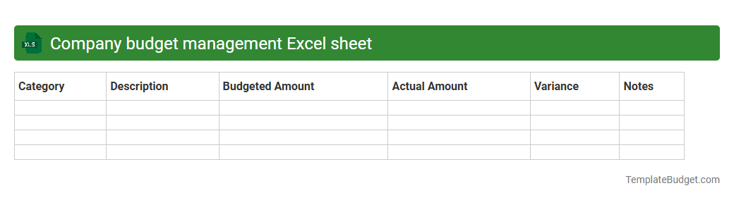 Company budget management Excel sheet