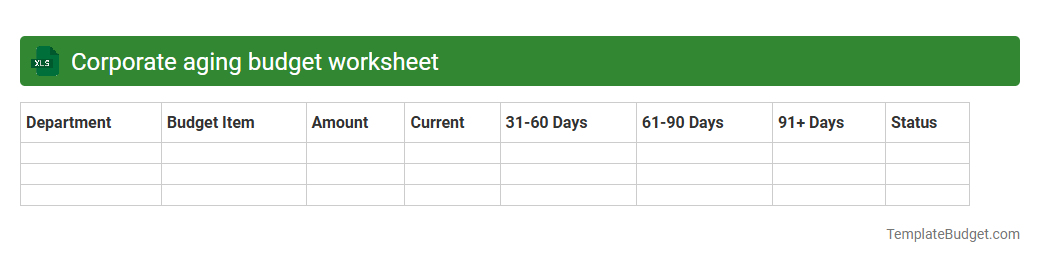 Corporate aging budget worksheet