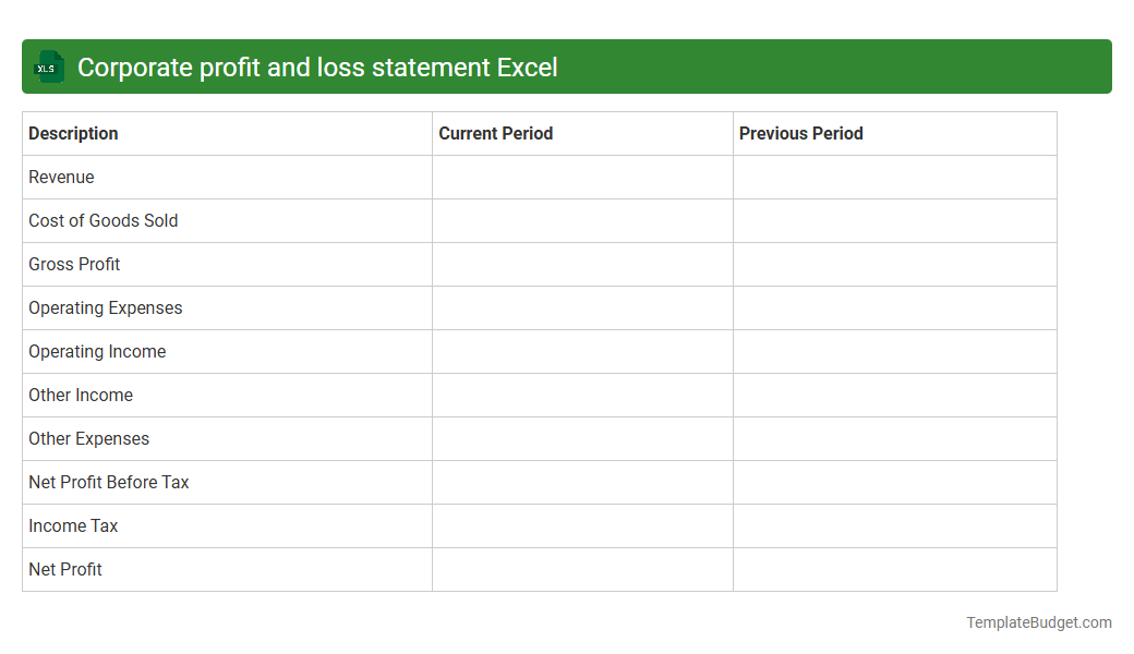 Corporate profit and loss statement Excel