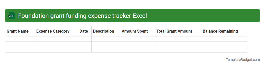 Foundation grant funding expense tracker Excel