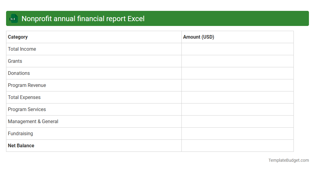 Nonprofit annual financial report Excel