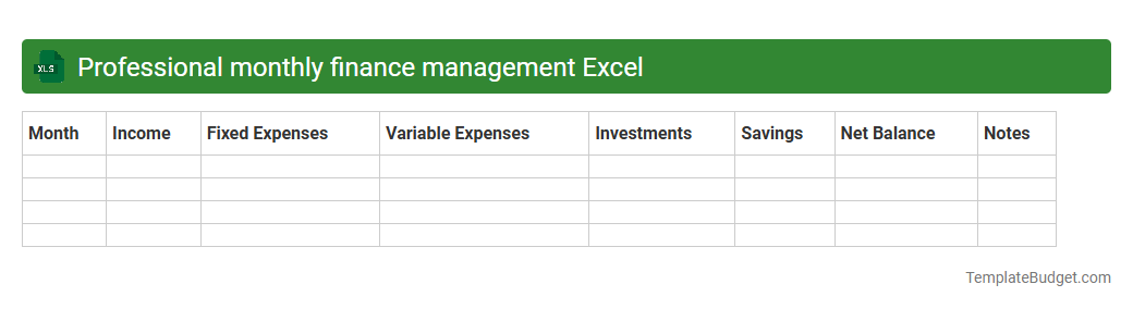 Professional monthly finance management Excel