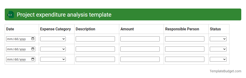 Project expenditure analysis template
