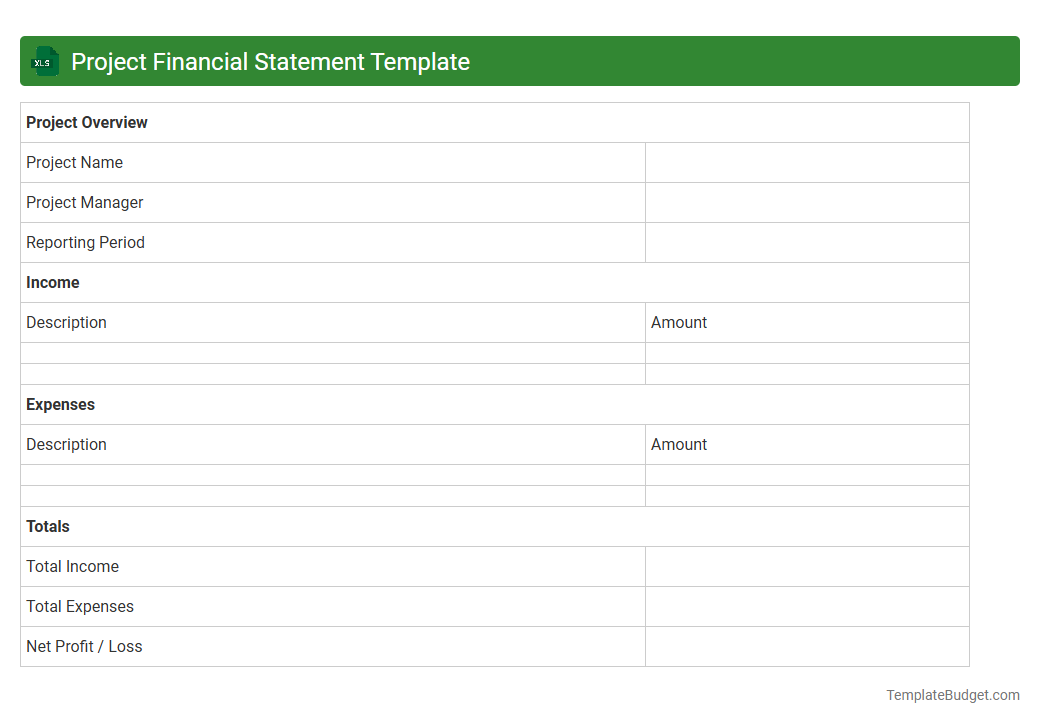 Project Financial Statement Template