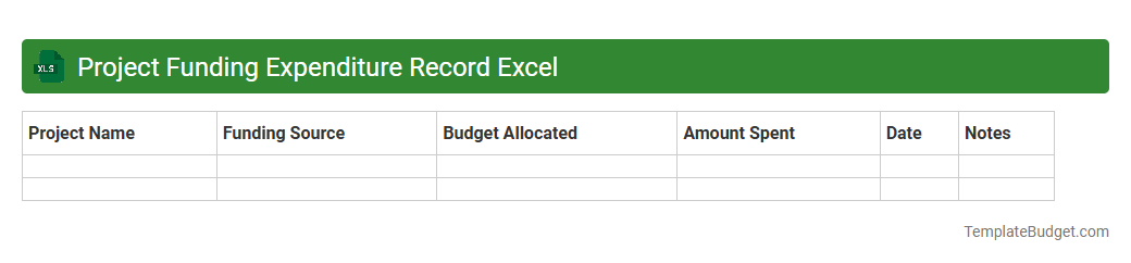Project Funding Expenditure Record Excel