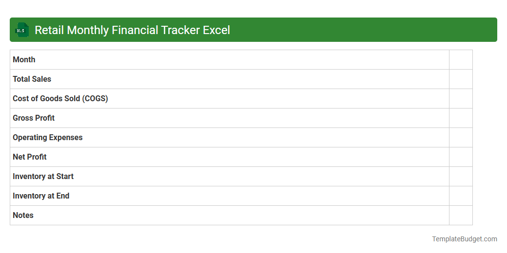 Retail Monthly Financial Tracker Excel