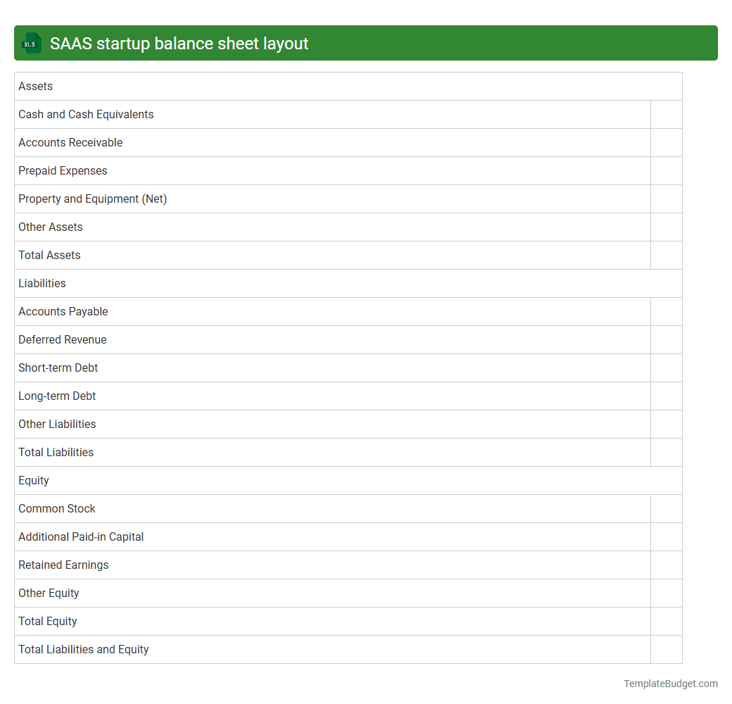 SAAS startup balance sheet layout