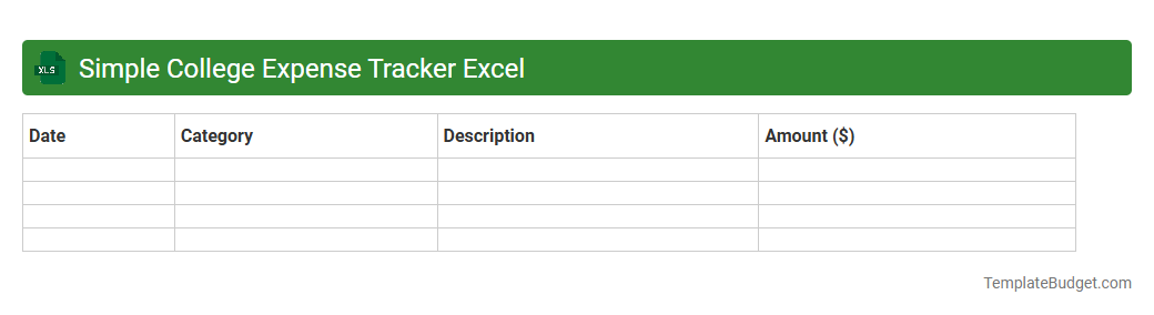 Simple College Expense Tracker Excel