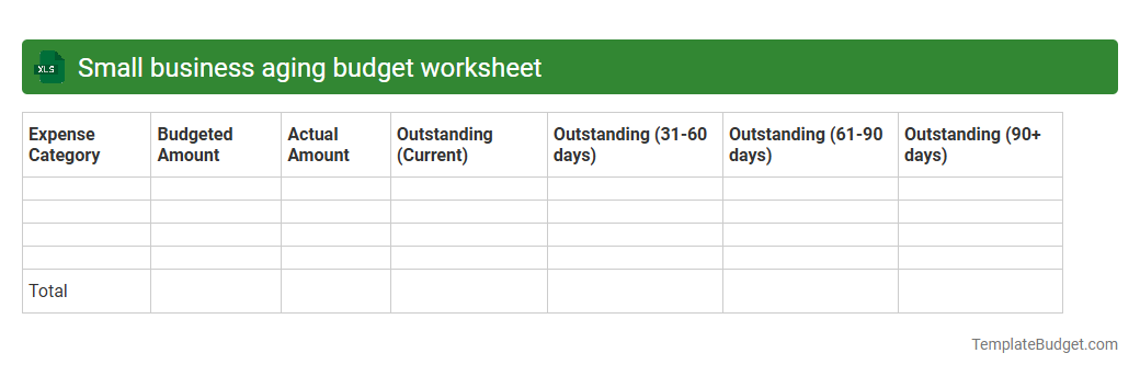 Small business aging budget worksheet
