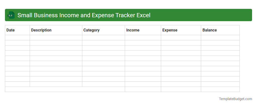 Small Business Income and Expense Tracker Excel