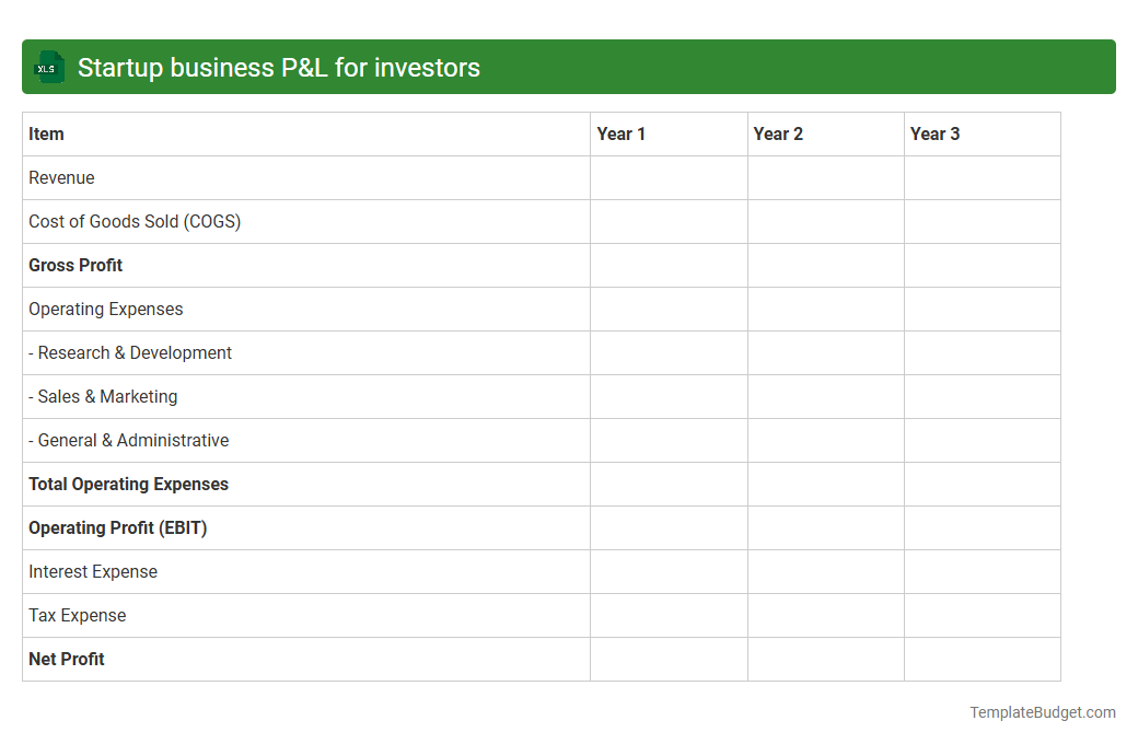 Startup business P&L for investors