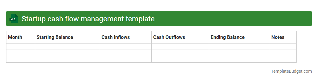 Startup cash flow management template