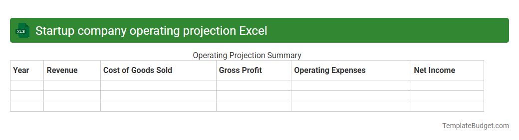 Startup company operating projection Excel