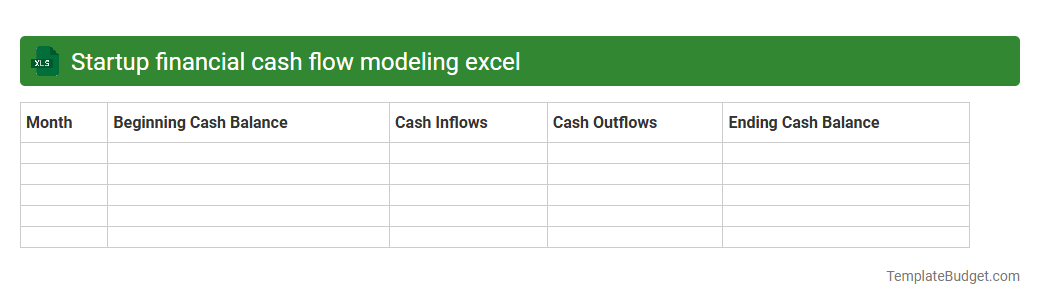 Startup financial cash flow modeling excel