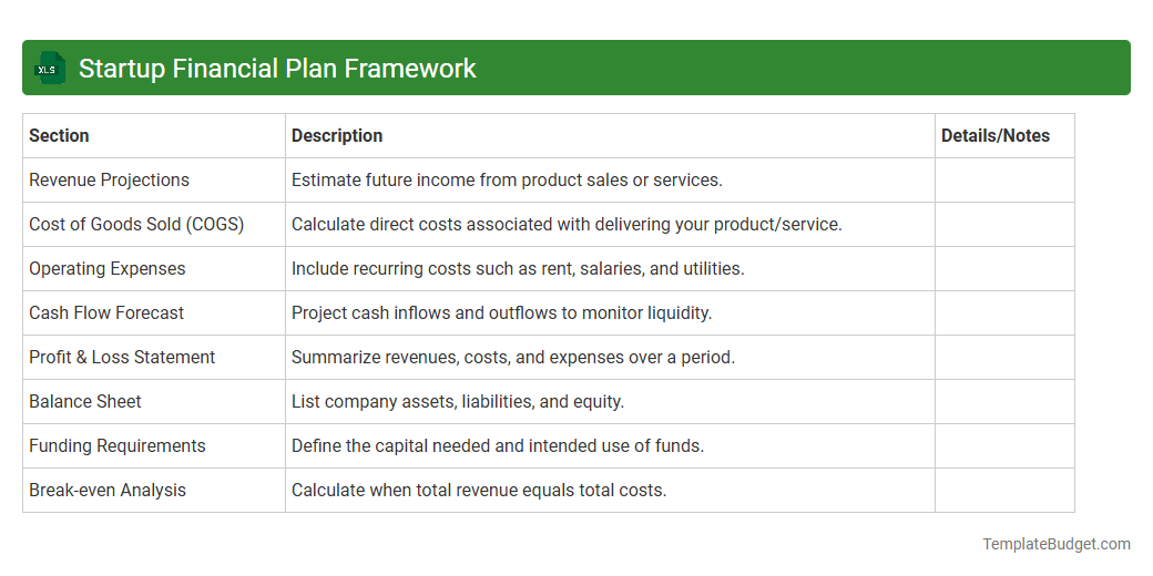 Startup Financial Plan Framework