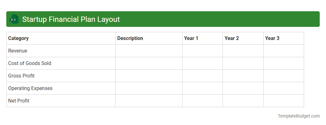 Startup Financial Plan Layout