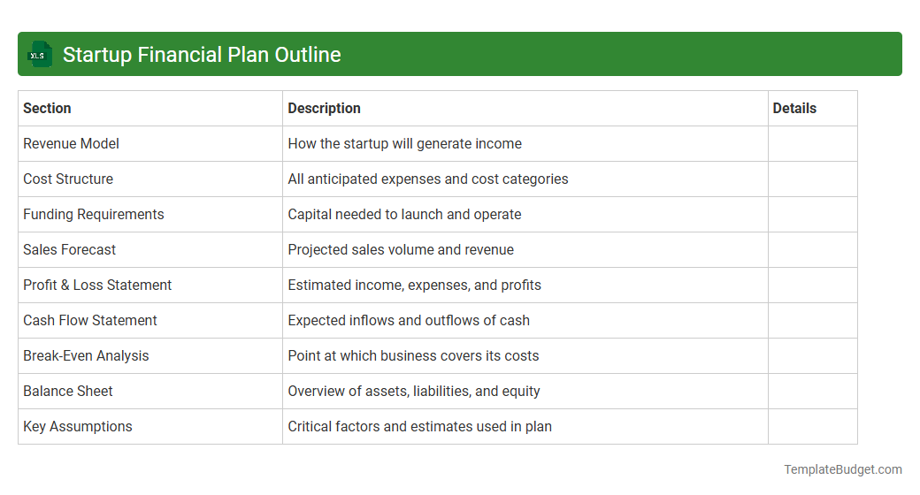 Startup Financial Plan Outline
