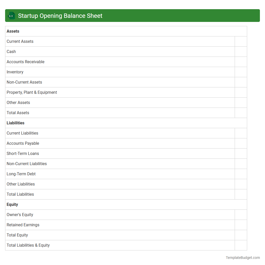 Startup Opening Balance Sheet