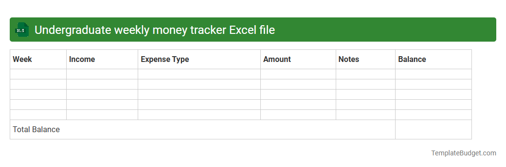 Undergraduate weekly money tracker Excel file