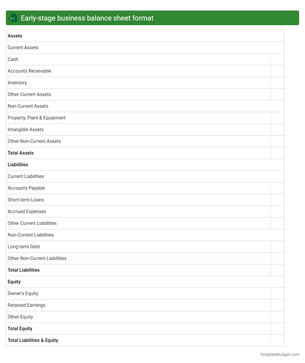 Early-stage business balance sheet format