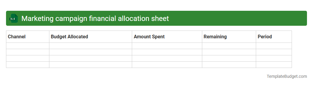 Marketing campaign financial allocation sheet