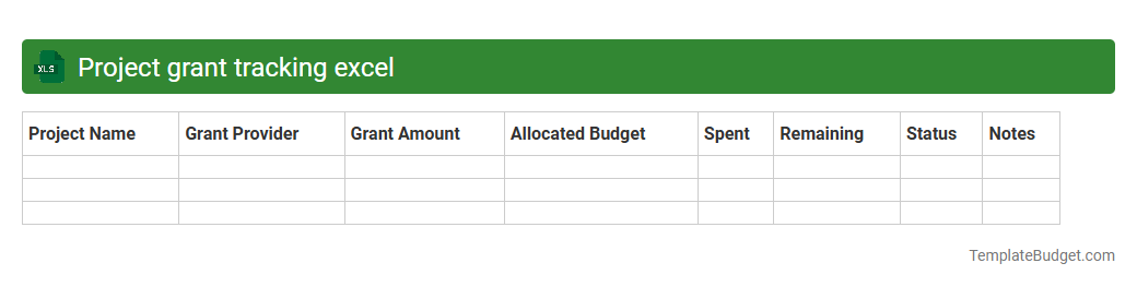 Project grant tracking excel