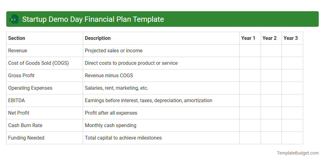 Startup Demo Day Financial Plan Template