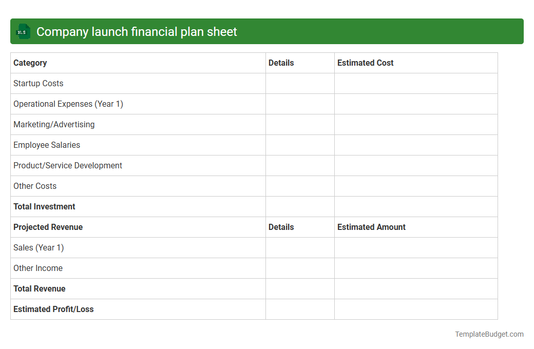 Company launch financial plan sheet