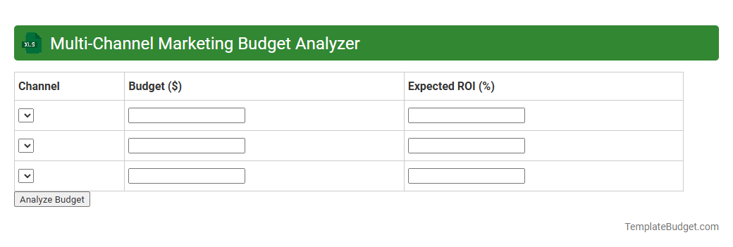 Multi-Channel Marketing Budget Analyzer