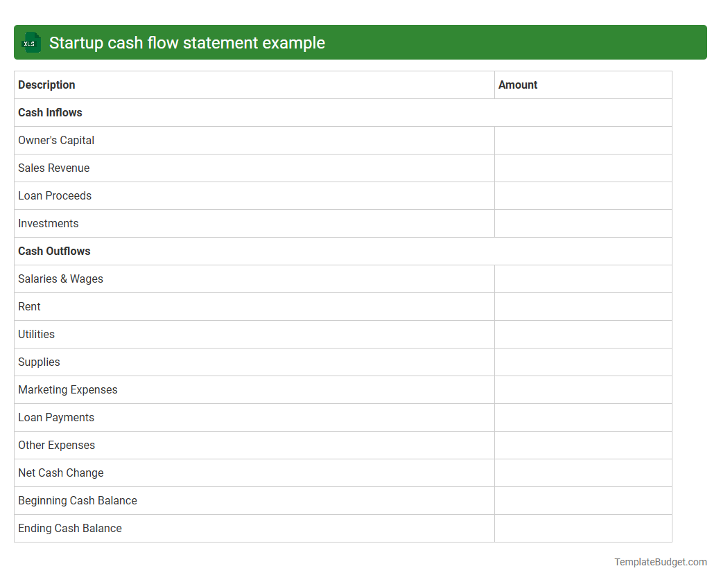 Startup cash flow statement example