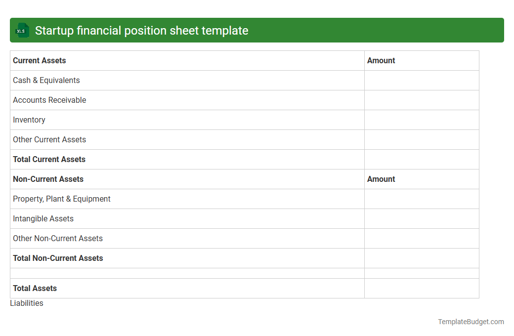 Startup financial position sheet template