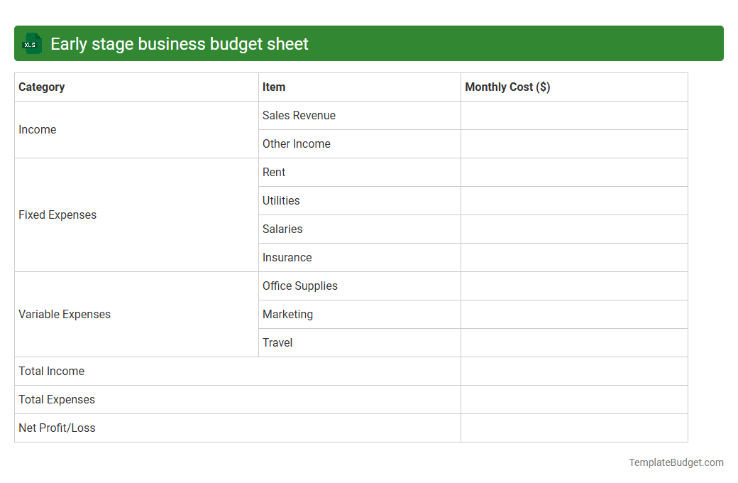 Early stage business budget sheet