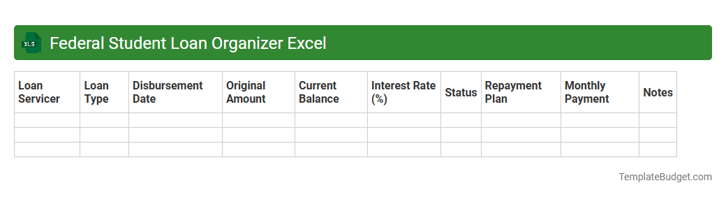 Federal Student Loan Organizer Excel