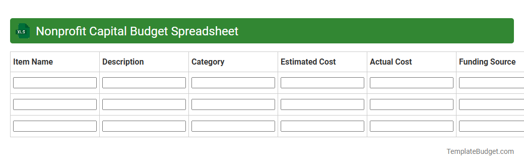 Nonprofit Capital Budget Spreadsheet