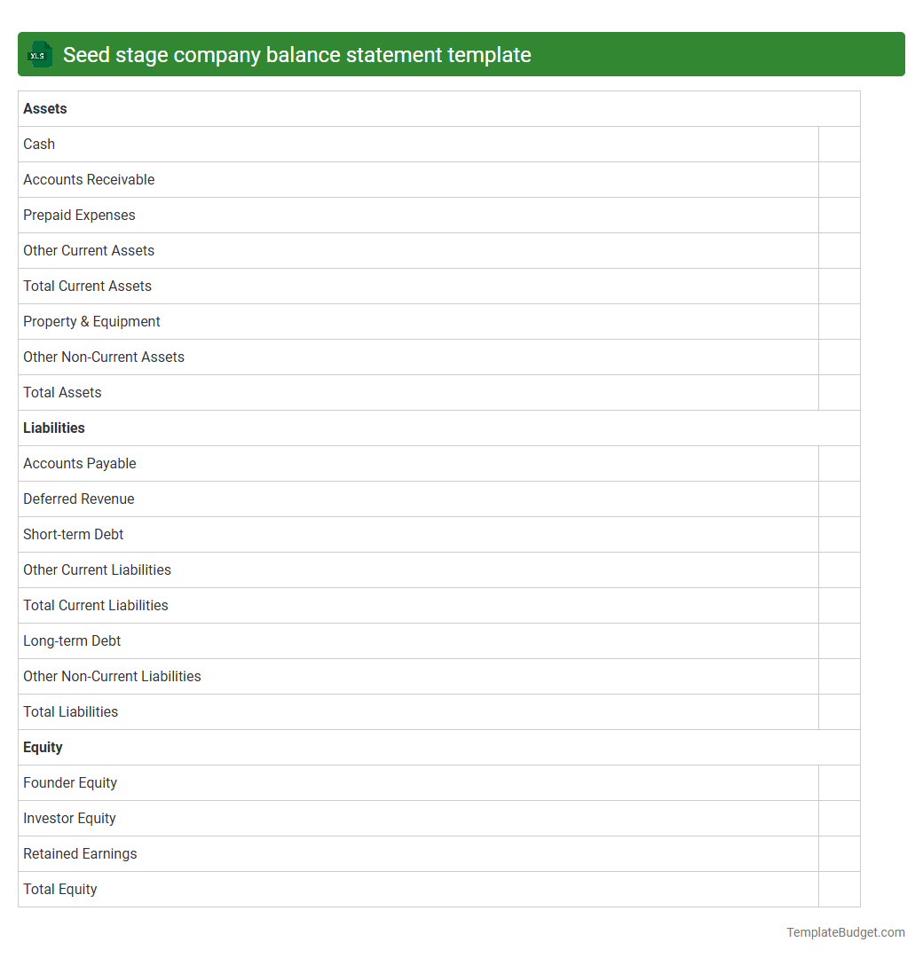 Seed stage company balance statement template