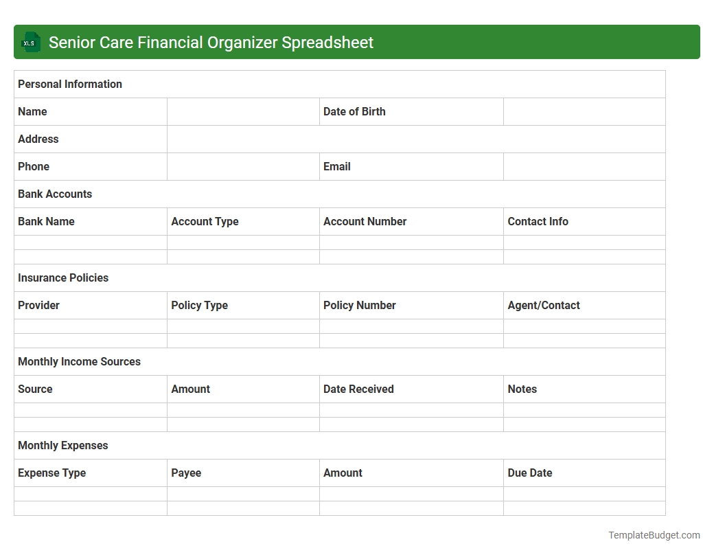 Senior Care Financial Organizer Spreadsheet