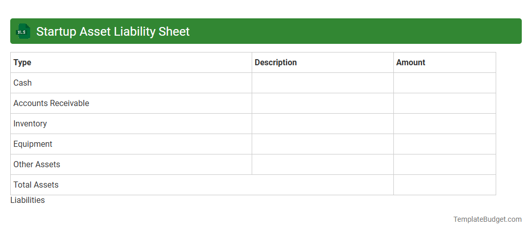Startup Asset Liability Sheet
