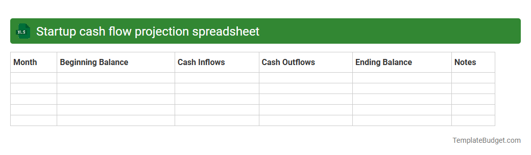 Startup cash flow projection spreadsheet