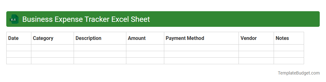 Business Expense Tracker Excel Sheet
