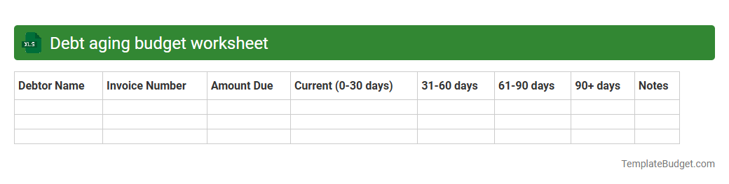 Debt aging budget worksheet