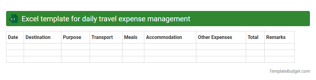 Excel template for daily travel expense management