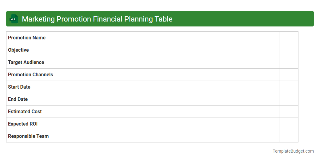 Marketing Promotion Financial Planning Table