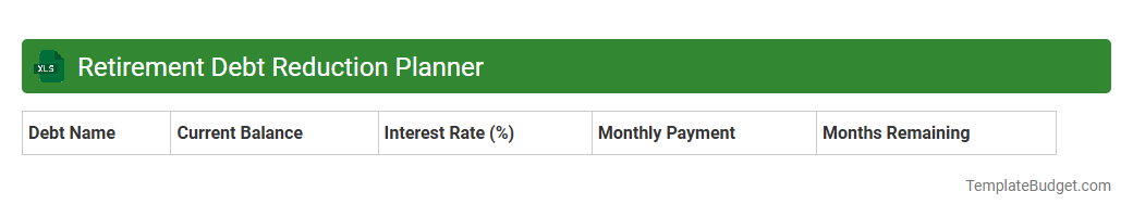 Retirement Debt Reduction Planner