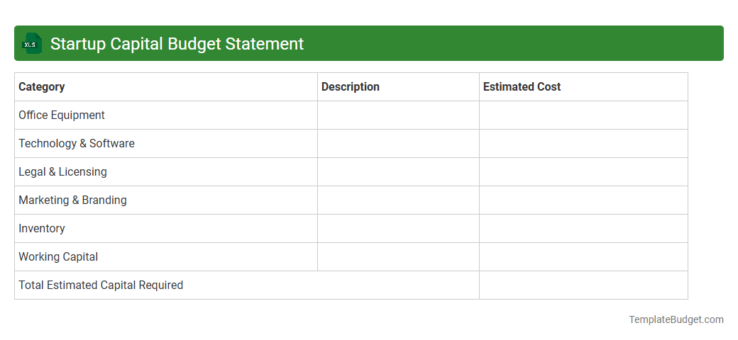 Startup Capital Budget Statement