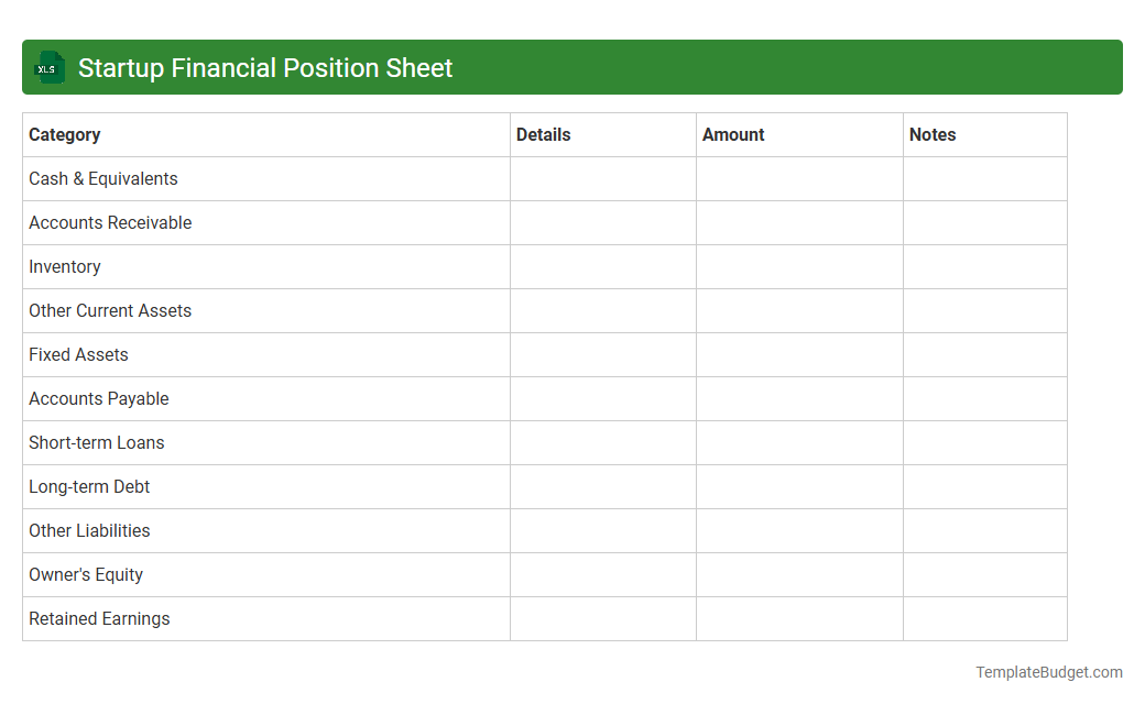 Startup Financial Position Sheet